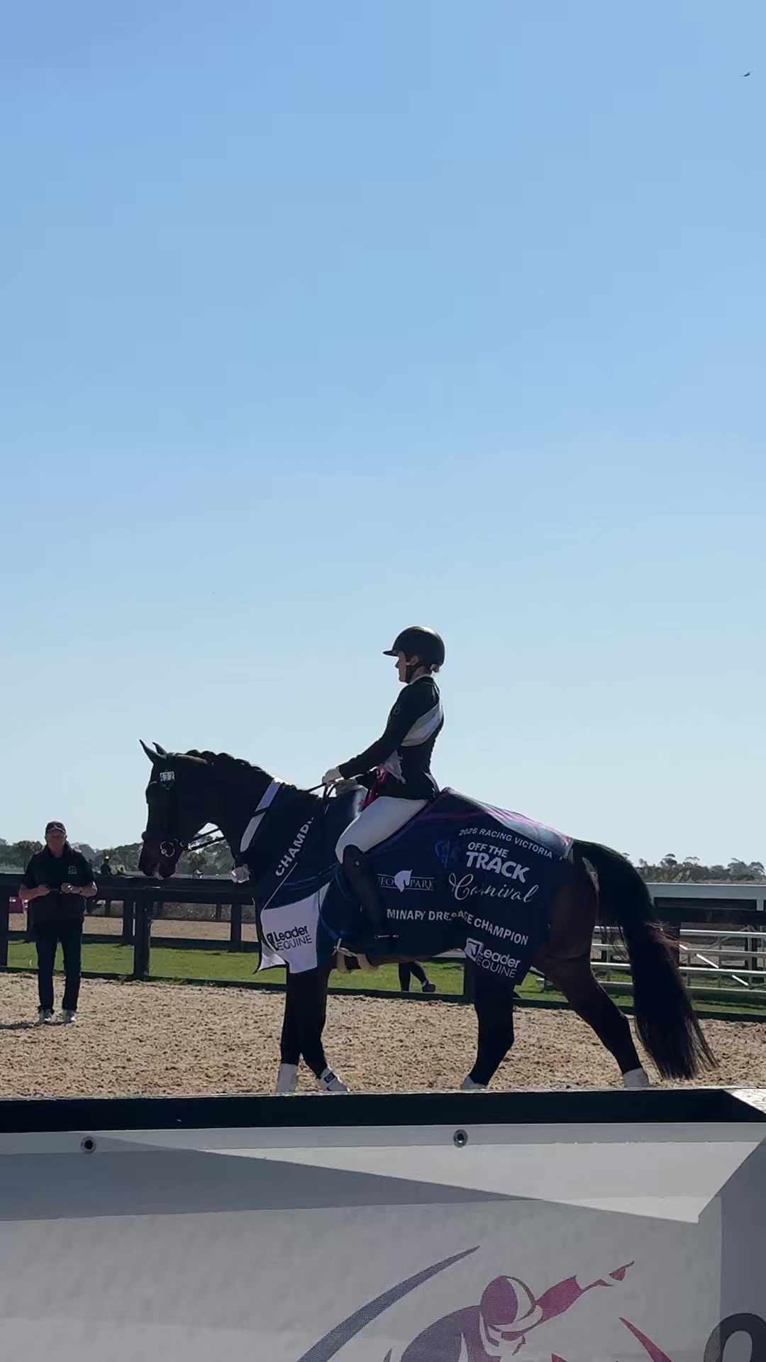 @Leader Equine