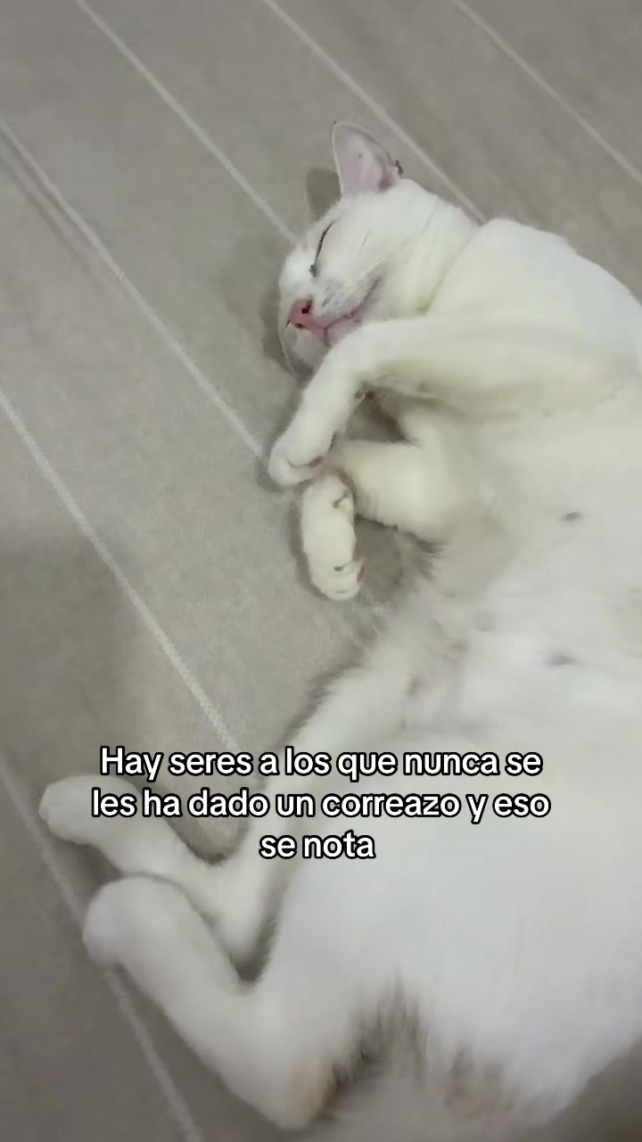 @Lore 💫