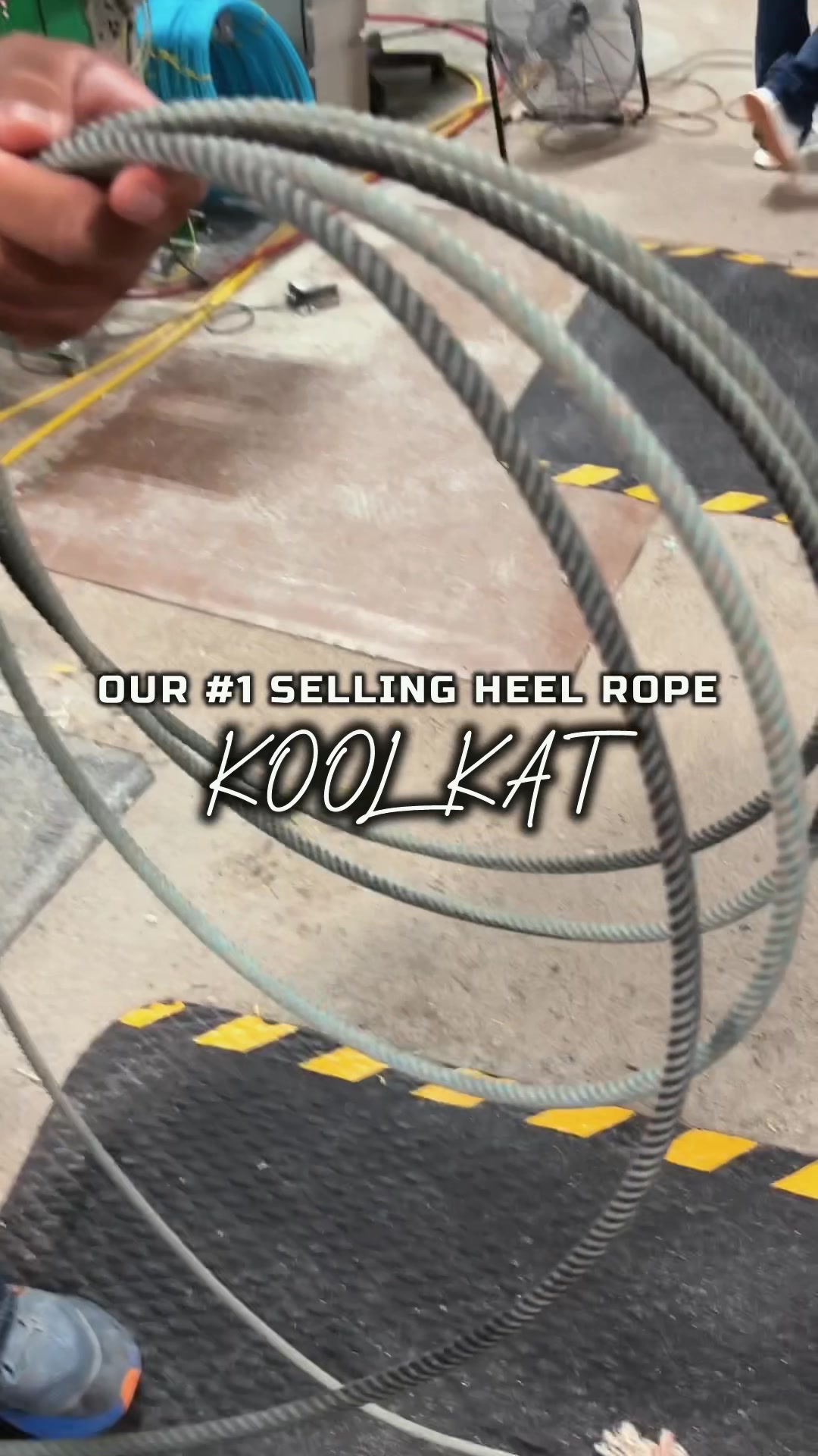 @Cactus Ropes