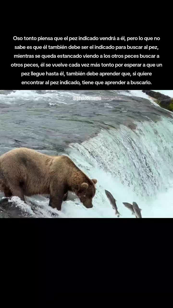 @textodesamu