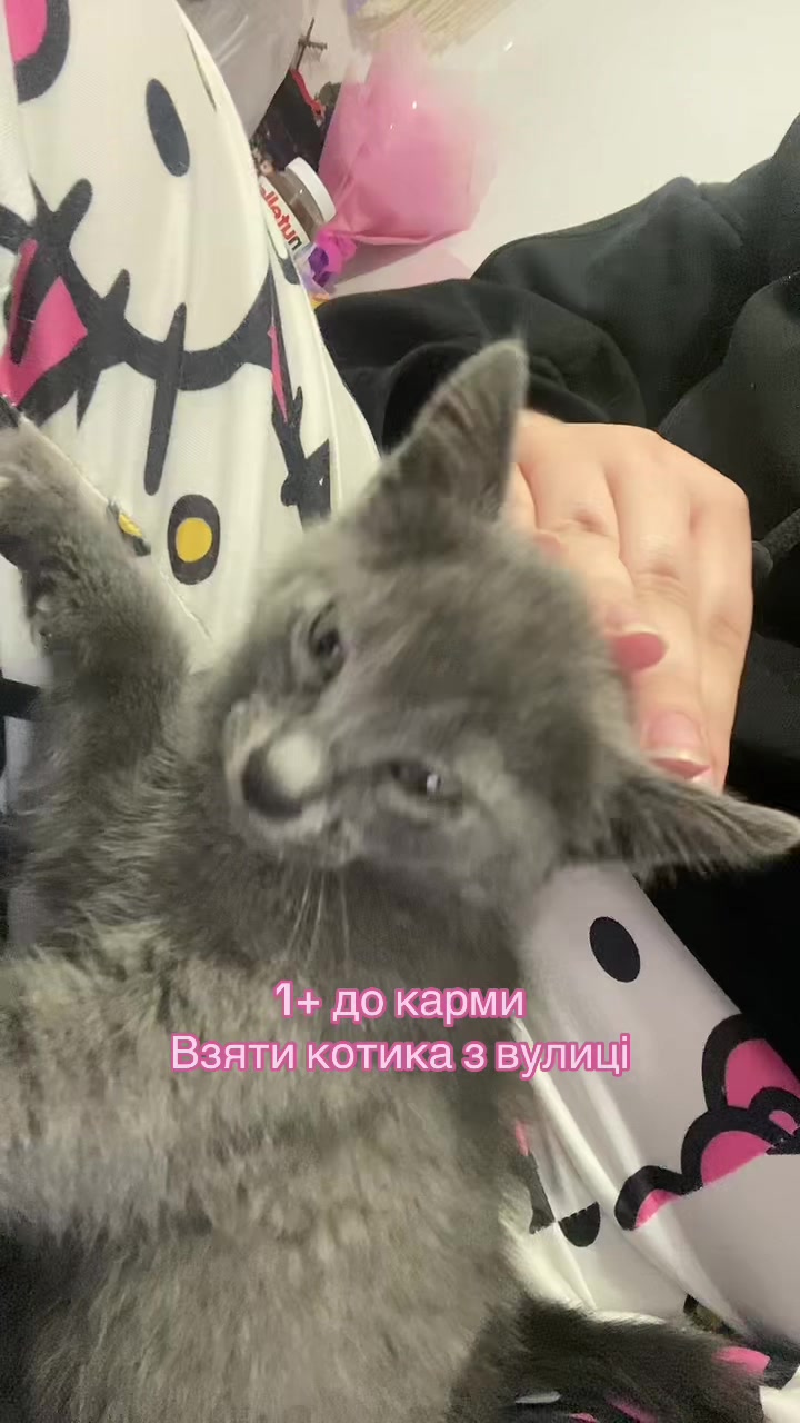 @Даша🤍