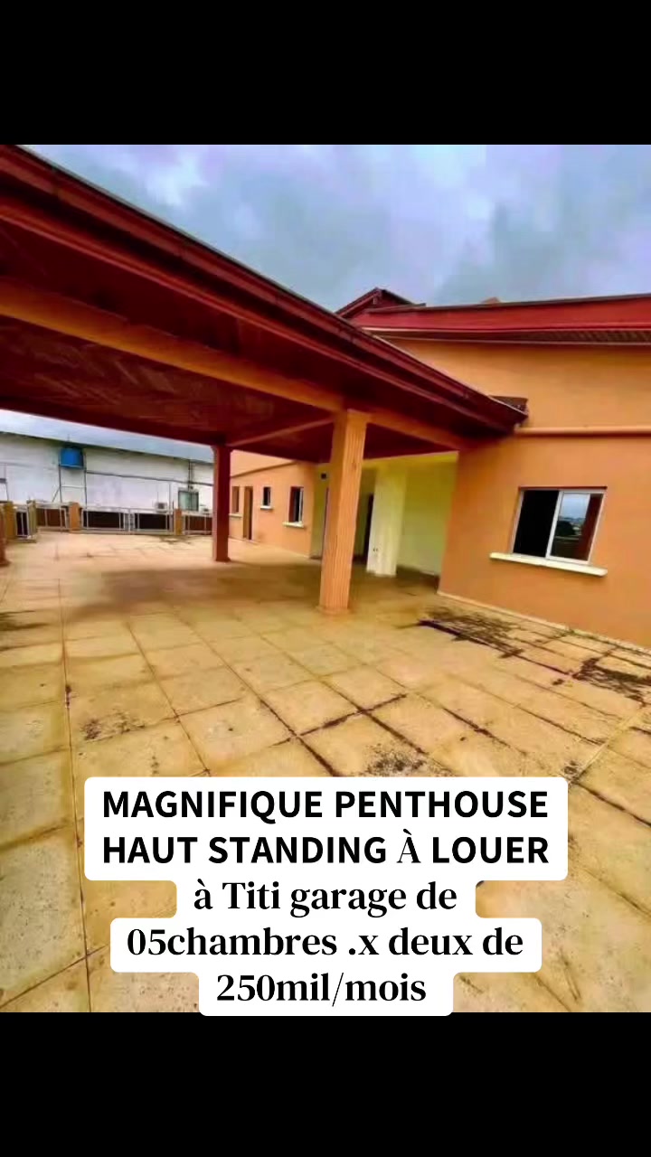 @DINO~IMMO~237🇨🇲🇨🇲