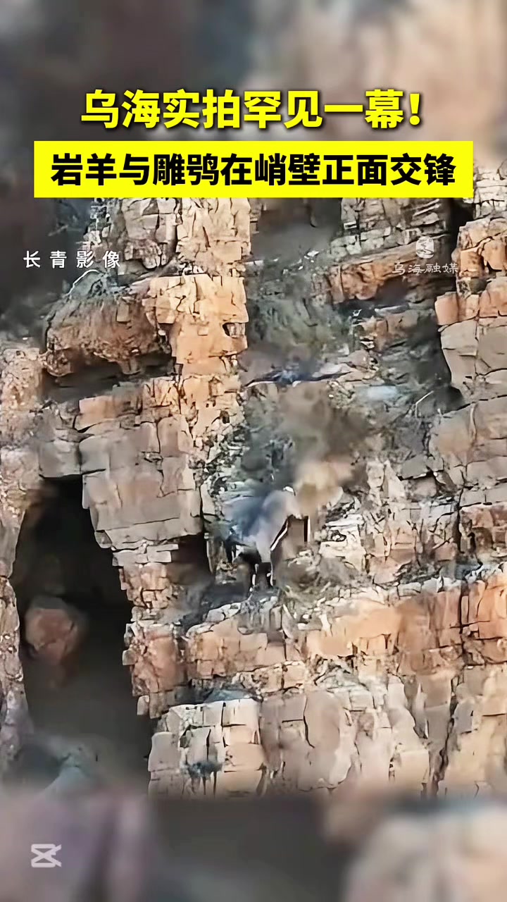 @liujiangyu