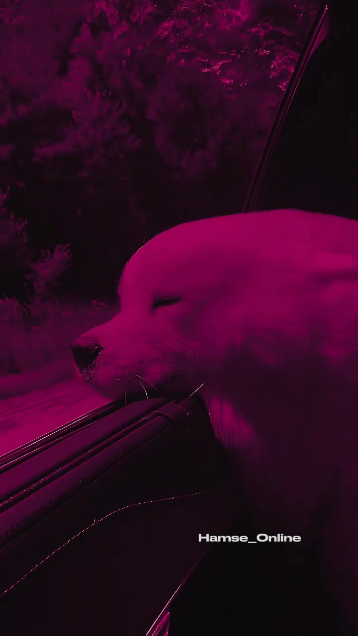 @๐ต4๐บ๐3โ๐น๐ฎ๐ป๐ฑ๐ฟ๐๐ค๐โค๏ธ