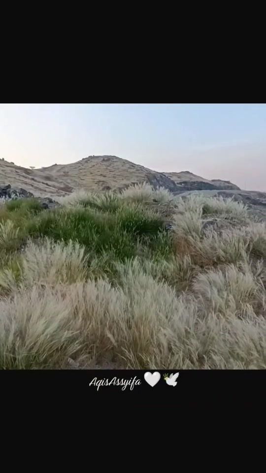 @🤍🕊️