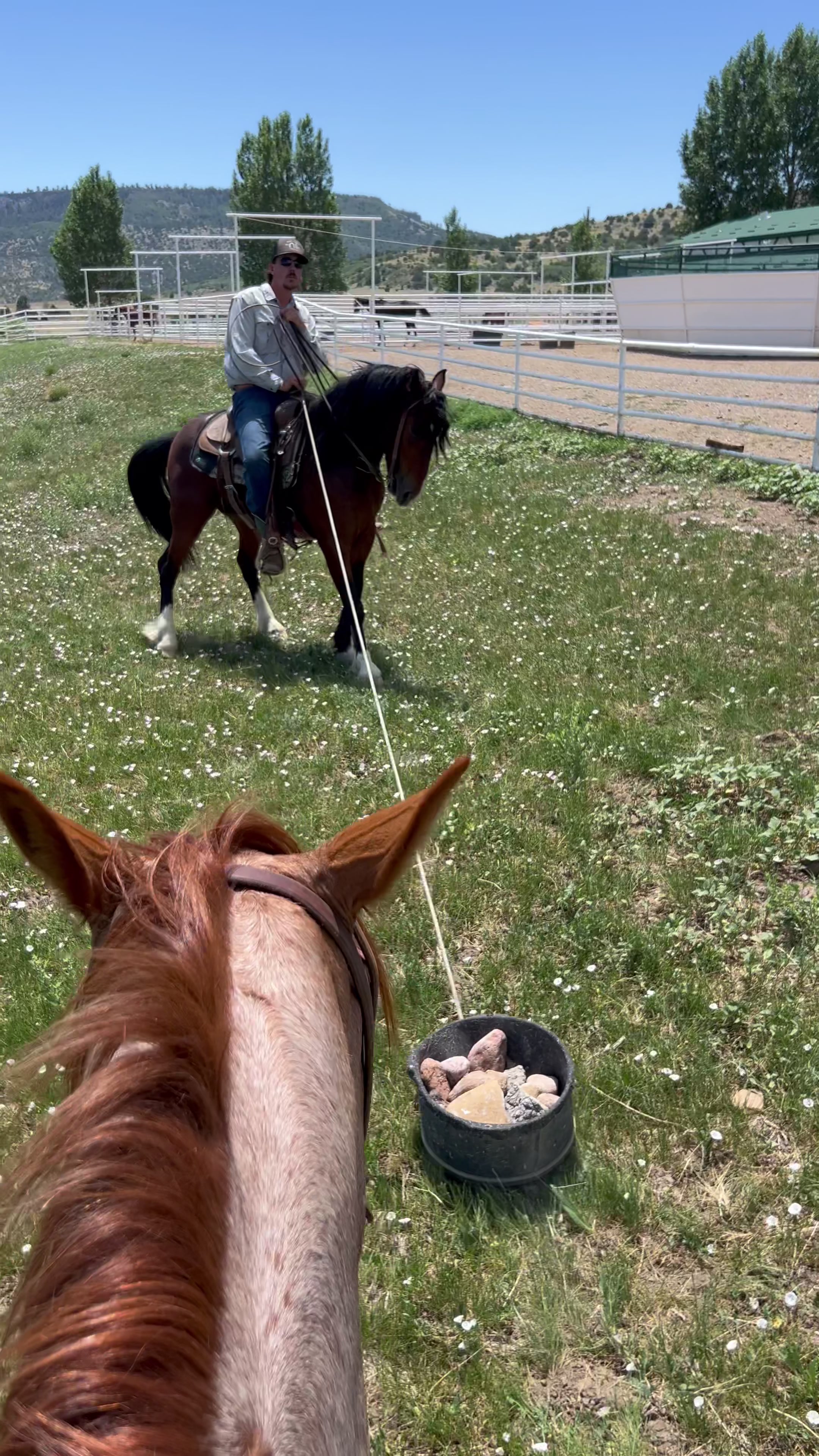 @cowgirlcommentary