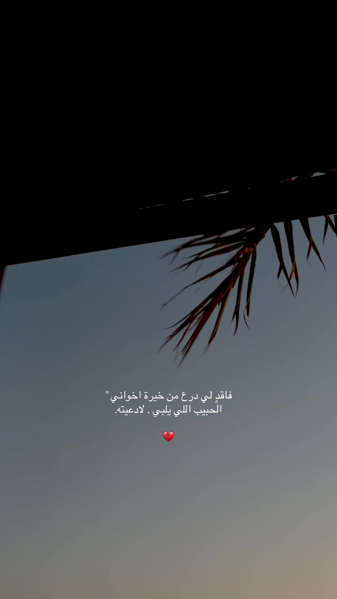 @مرام المدينه🦌