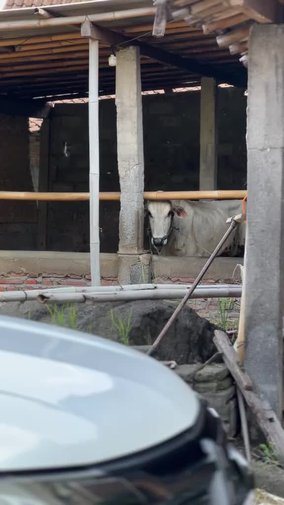 @sewa mobil klaten