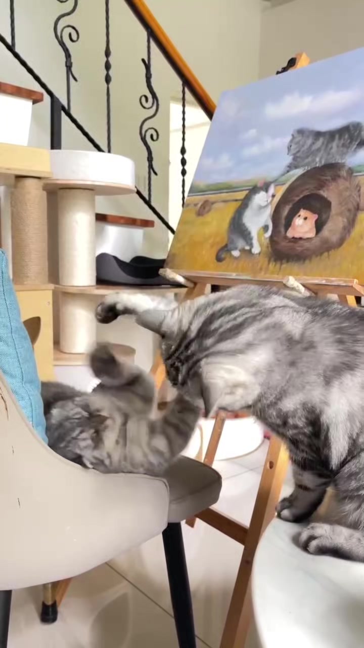 @migo是貓?