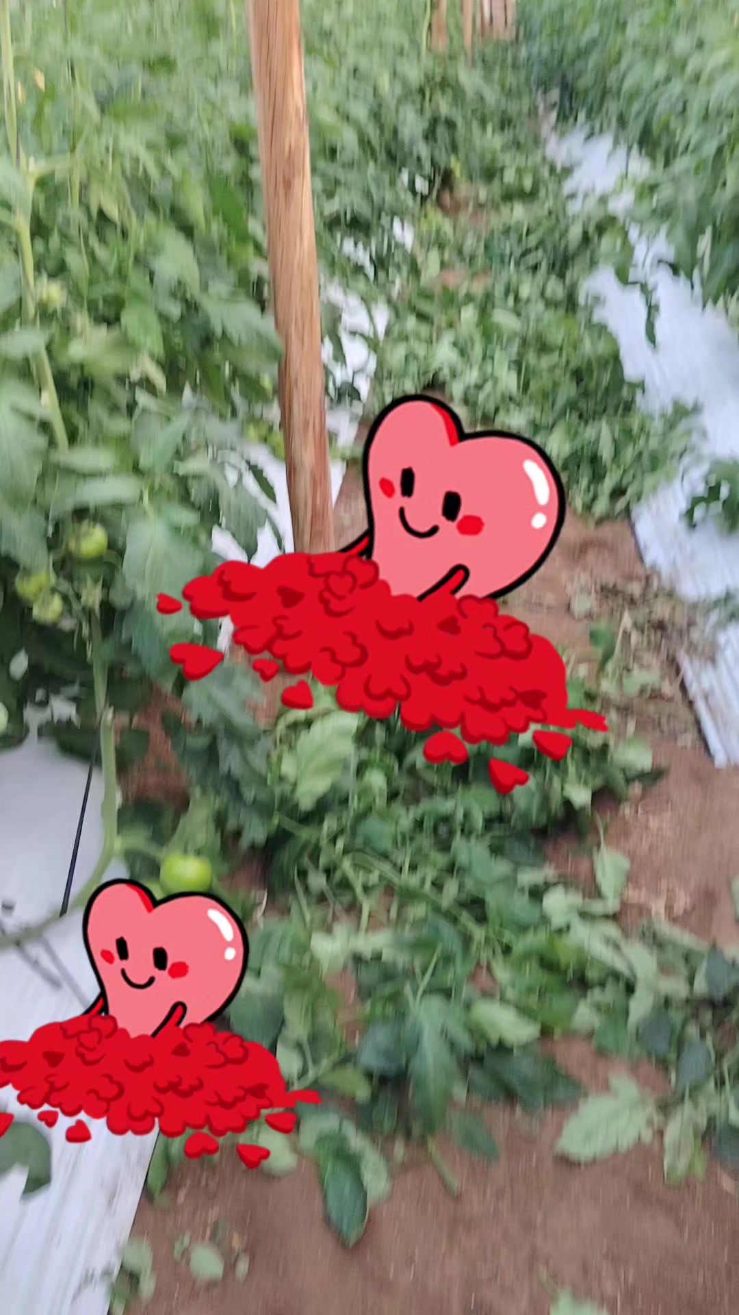 @lid.01