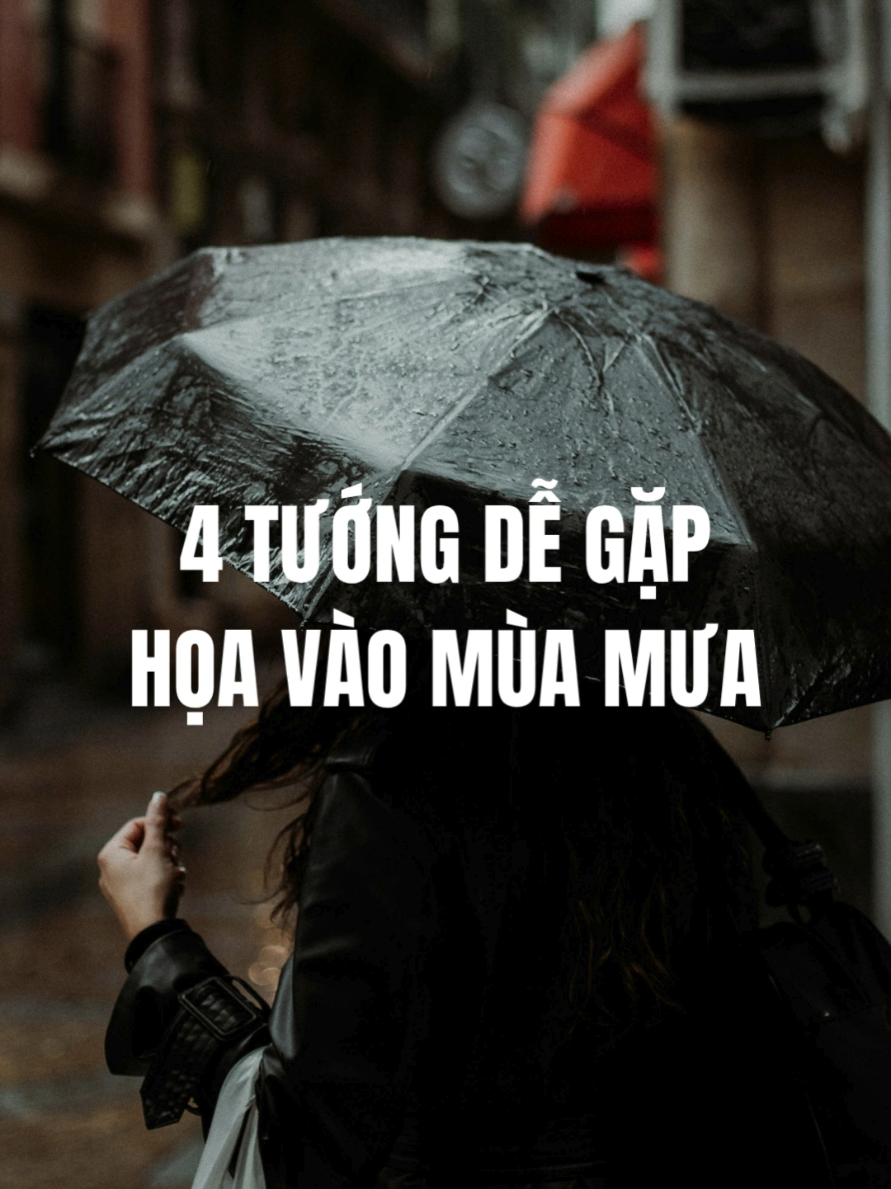 @Nhân tướng học - Steven