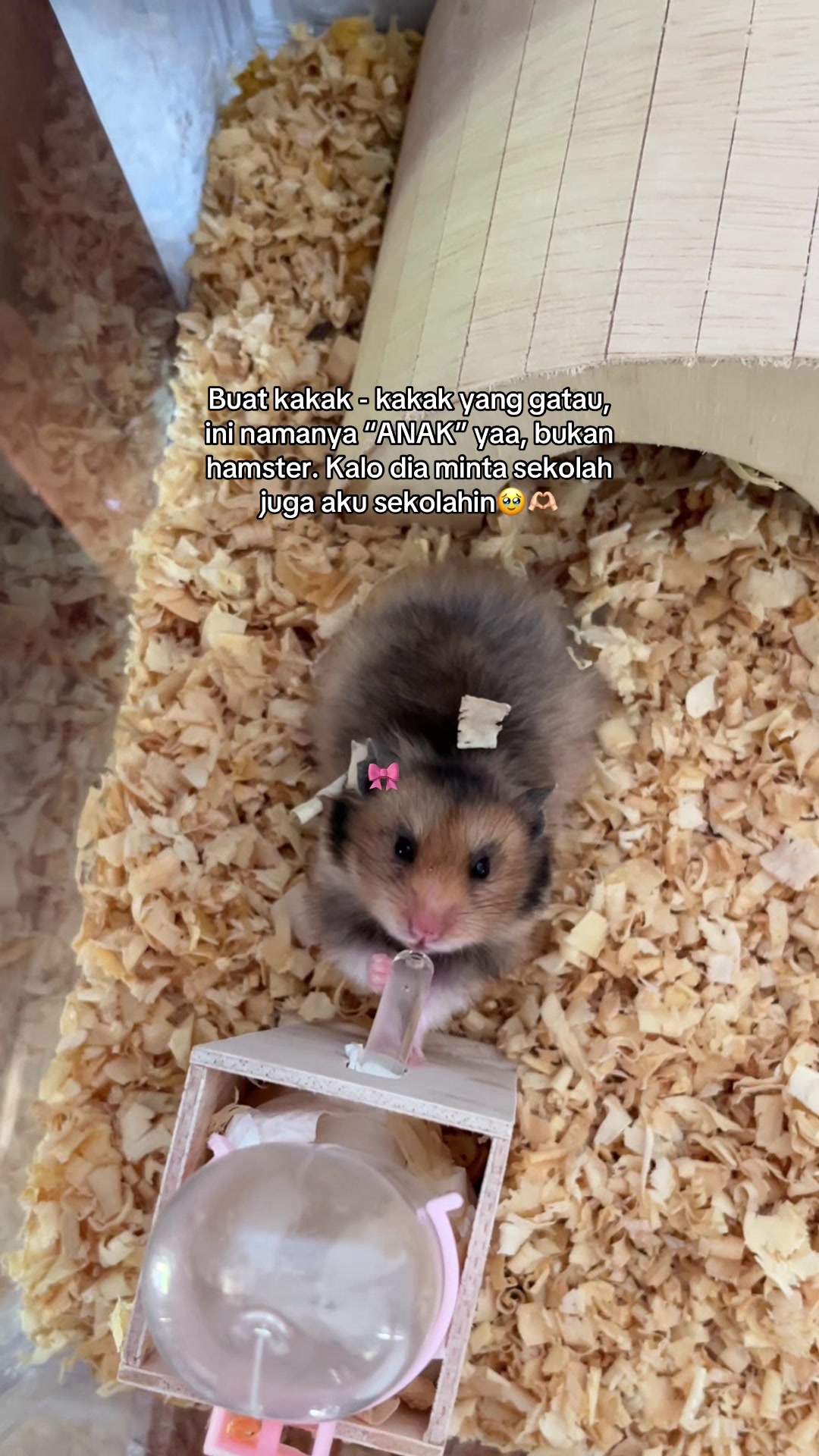 @pujiiiast_
