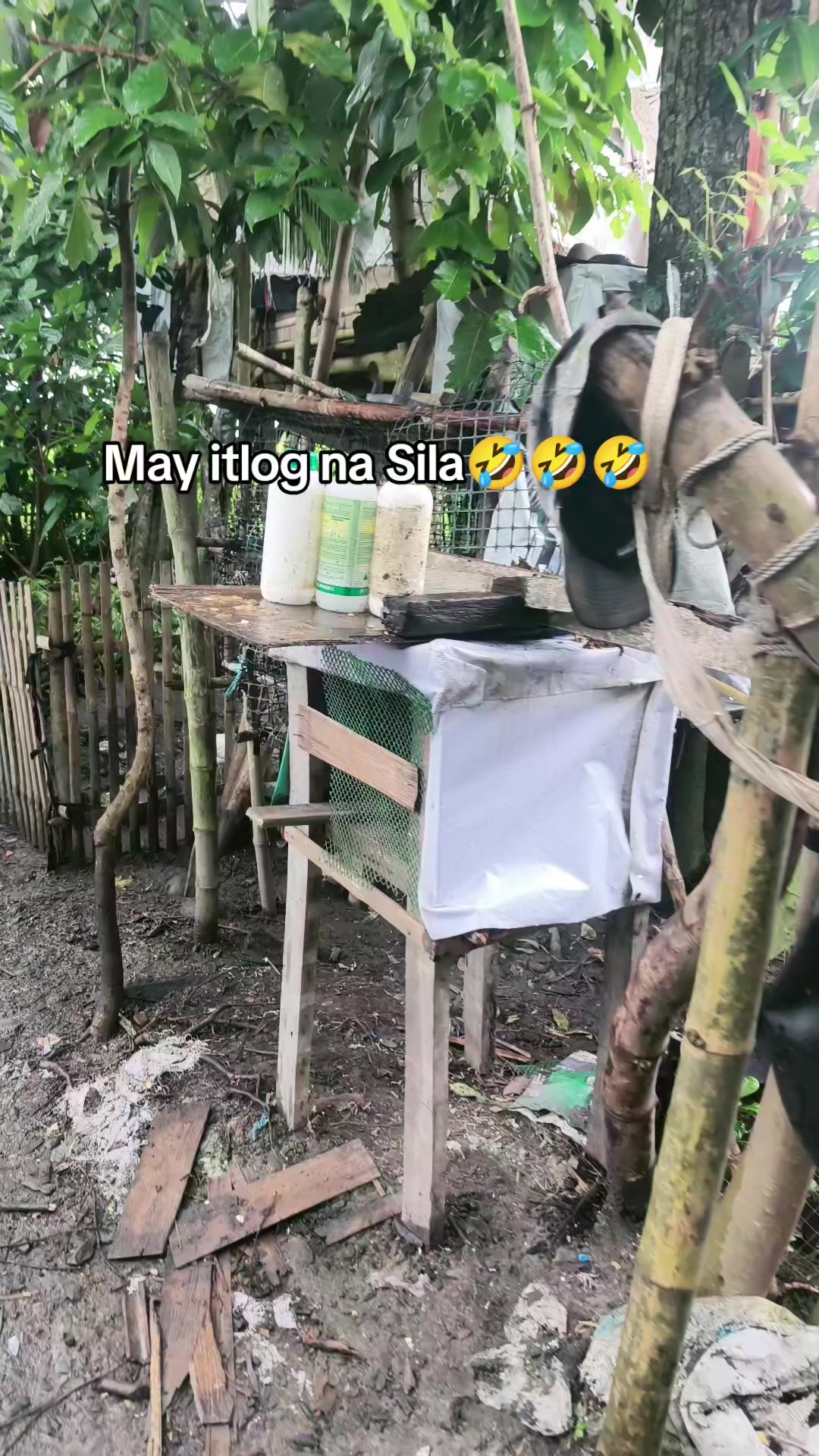 @Boga King Vlogs