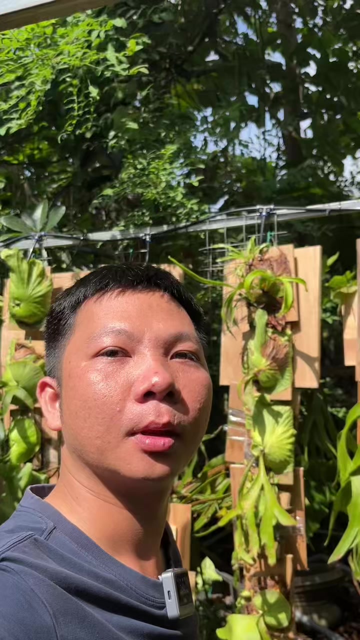 @Huy Kiểng L&aacute;
