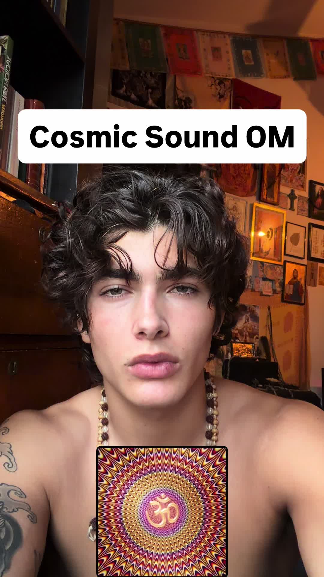 @5plys