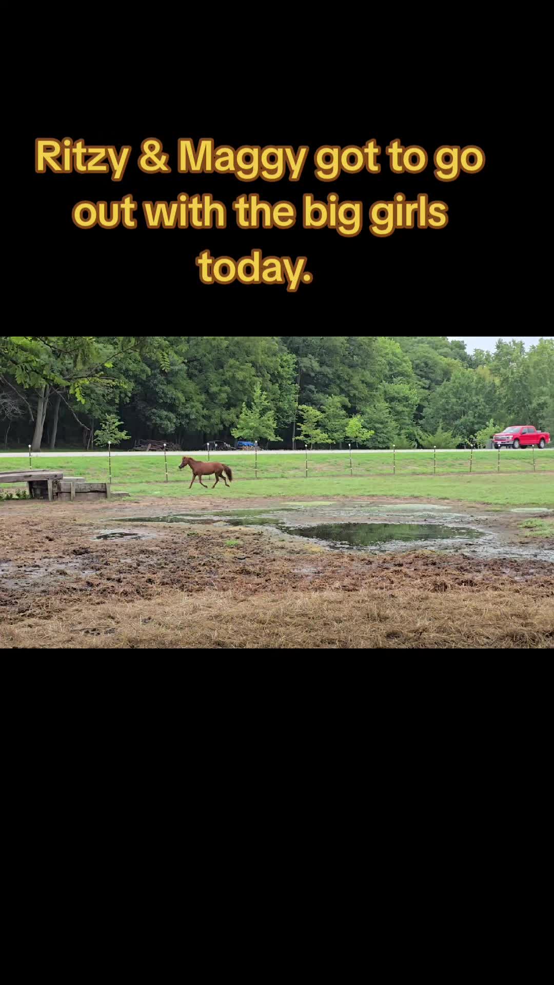@Small Town Farm LLC