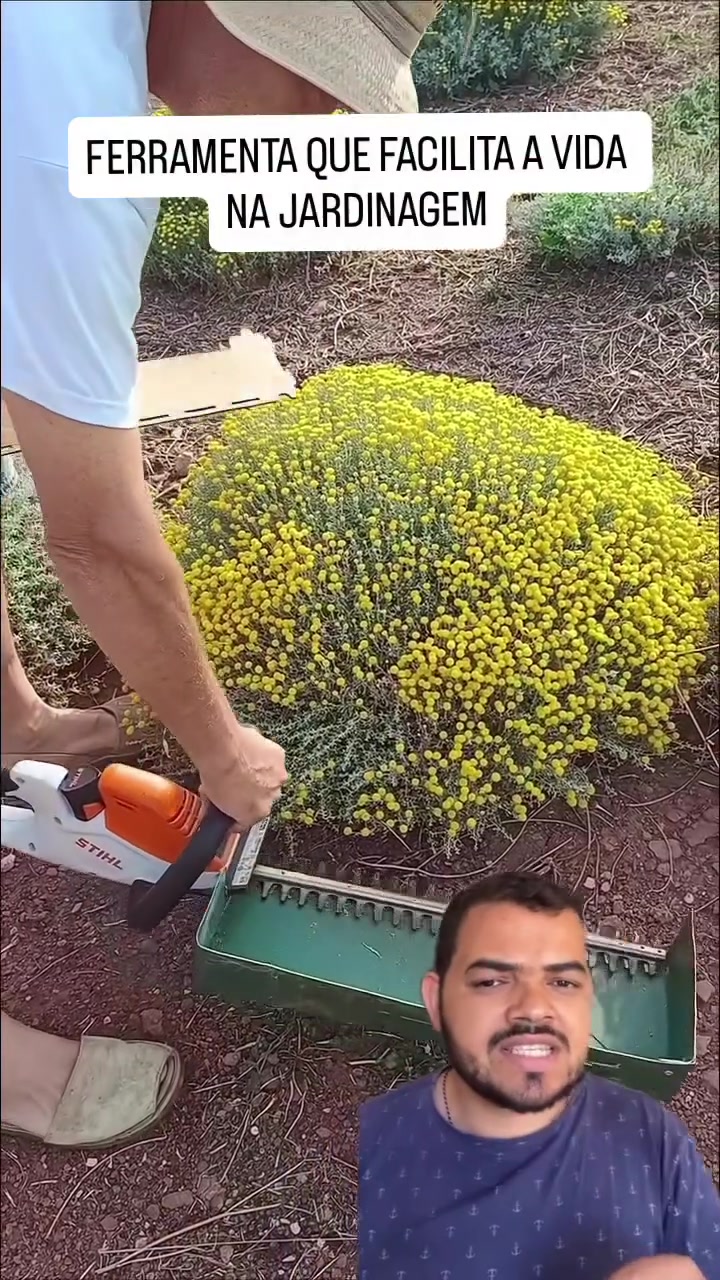 @Obrasilense
