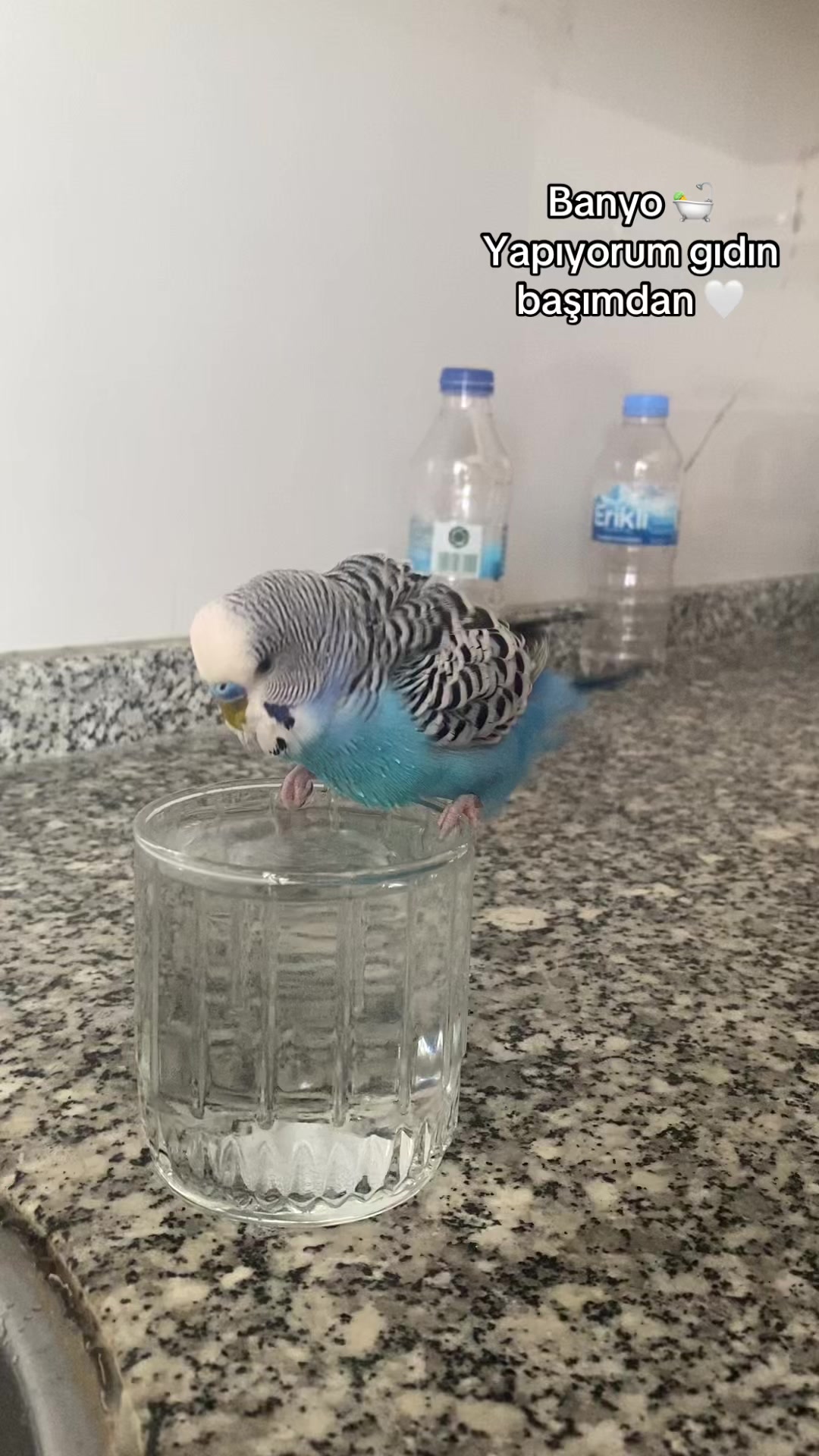 @Buse.sarı7
