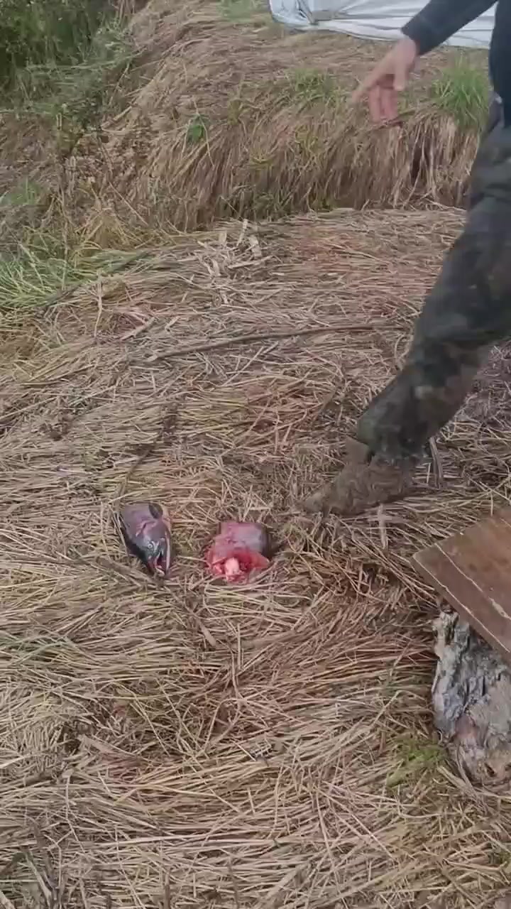 @Не повторять !!!