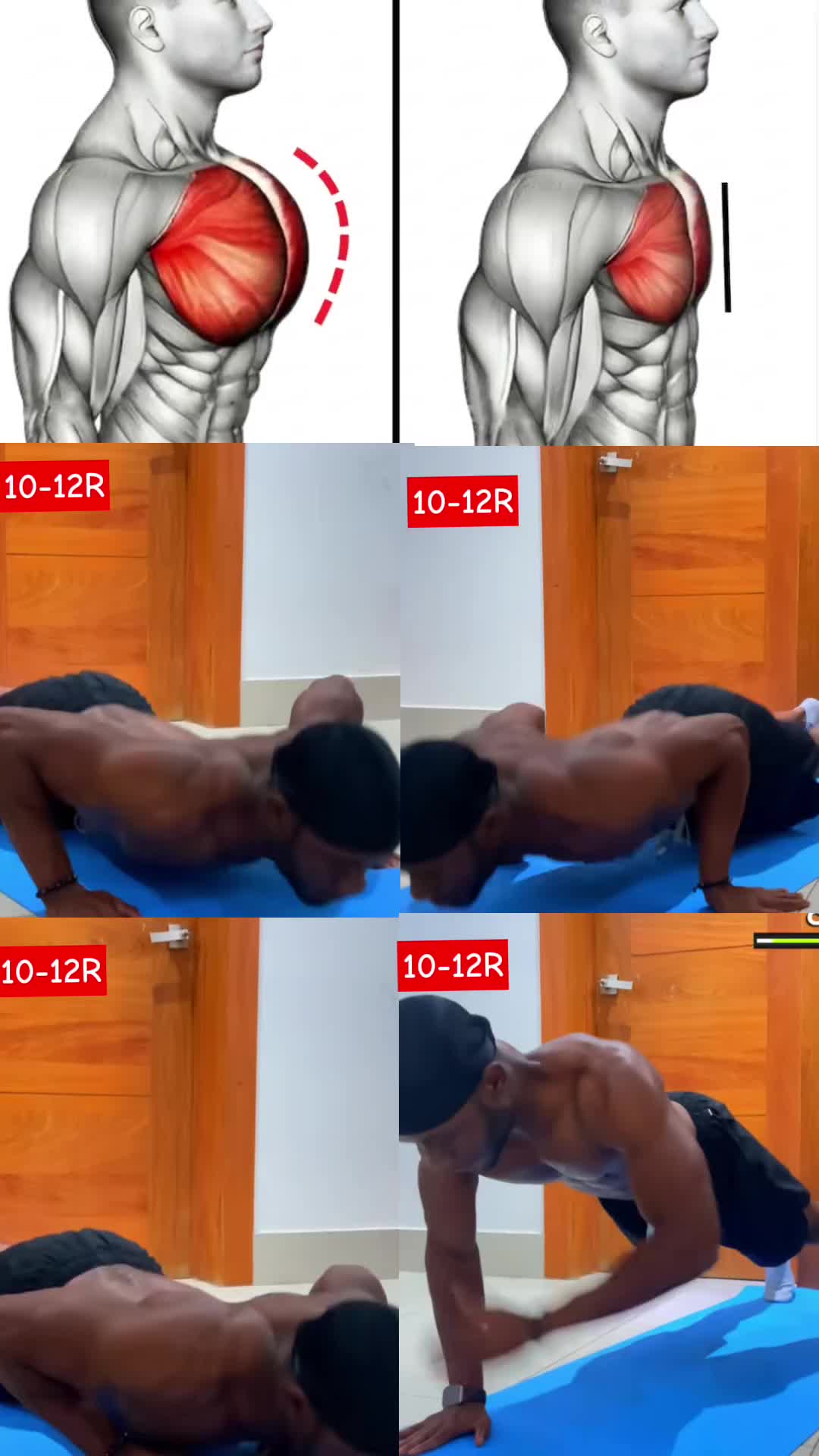 @Mendy Fitness