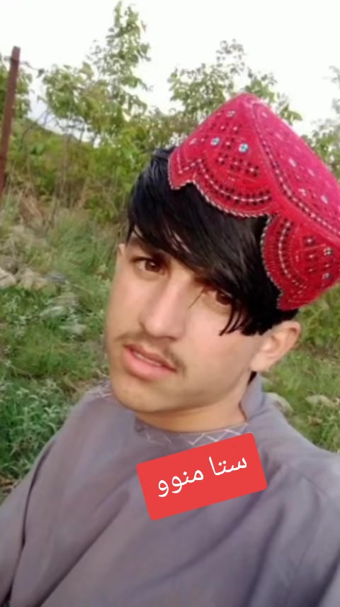 @Arman Phasha