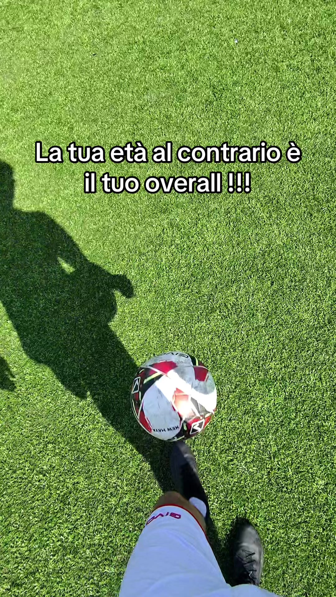 @michele brescia