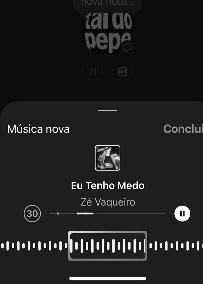 @vulgo_pedrinho@