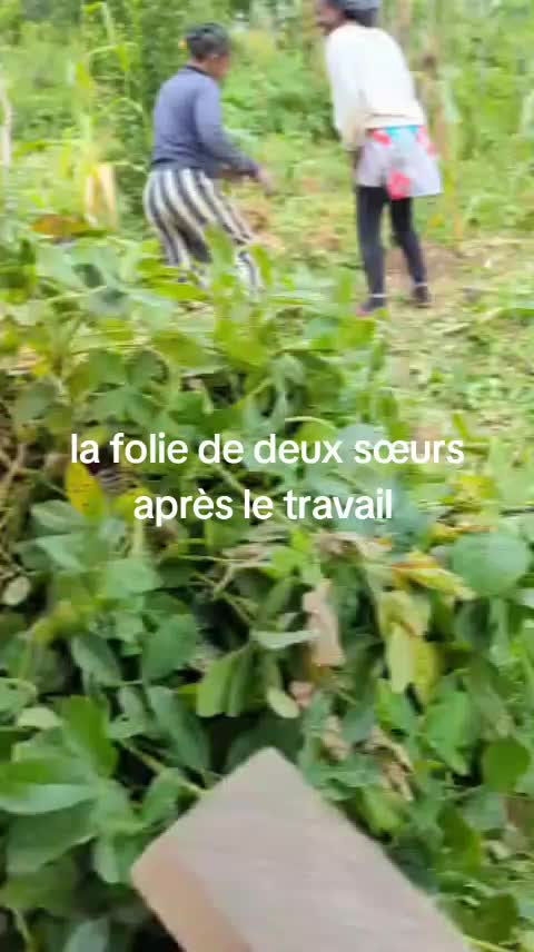 @Anna Eden