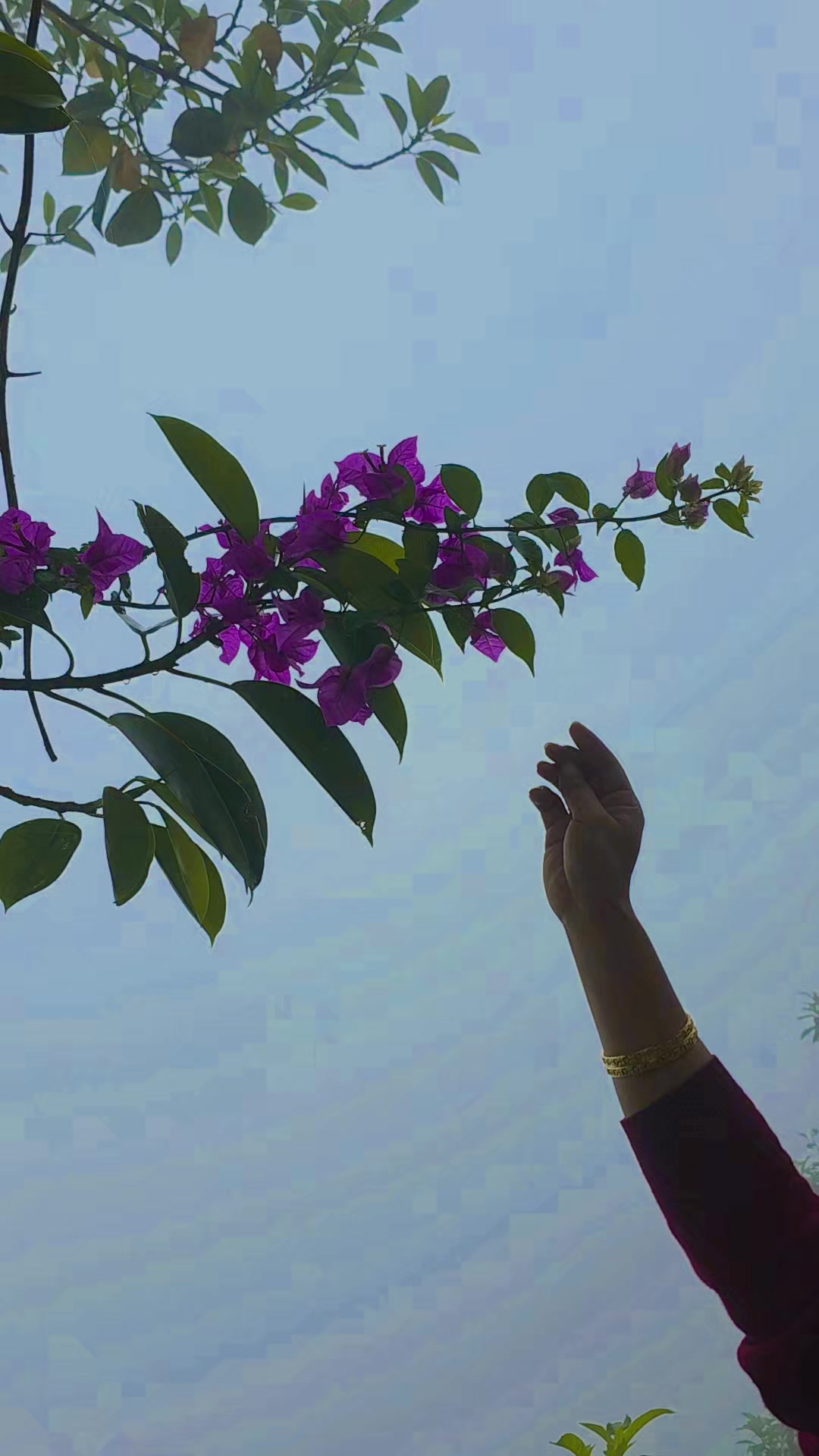 @Puja Gurung