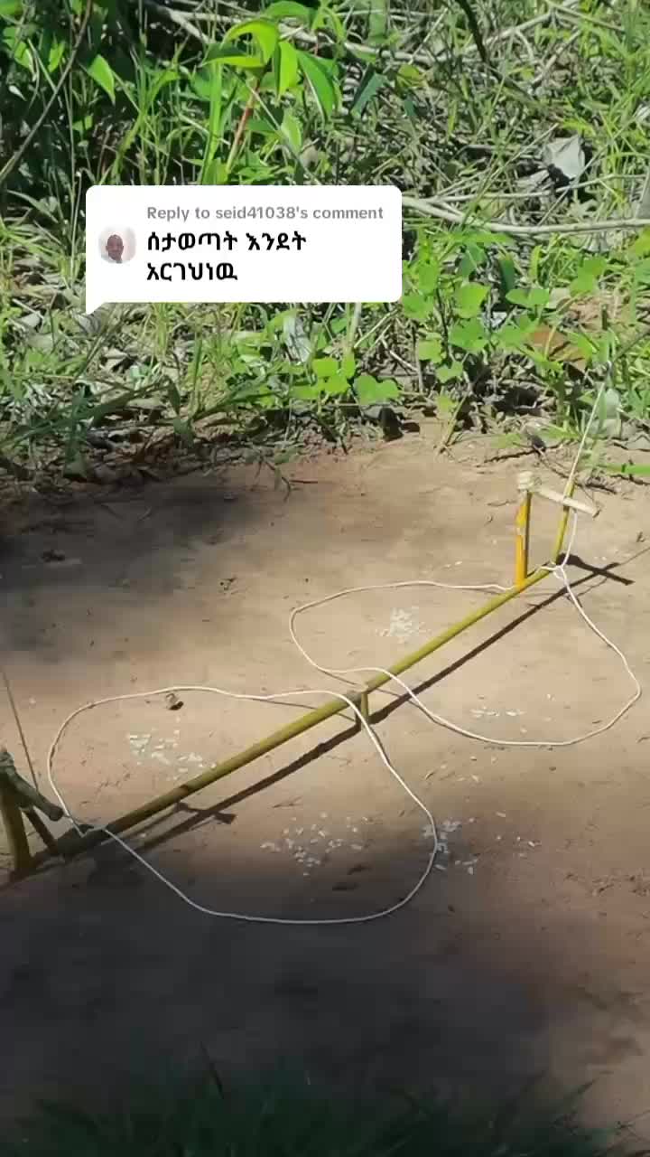 @የጫካው ቀበጥ