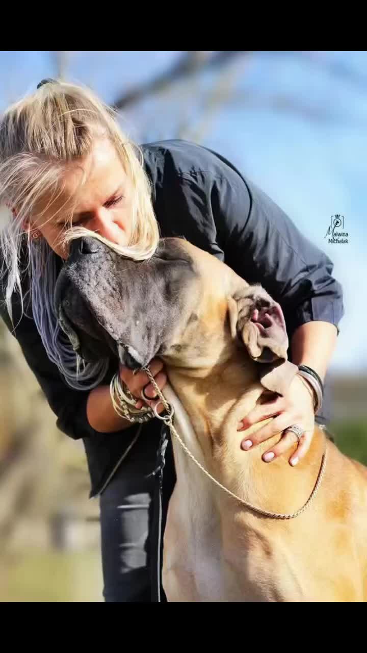 @Marta Markowicz hodowla FCI