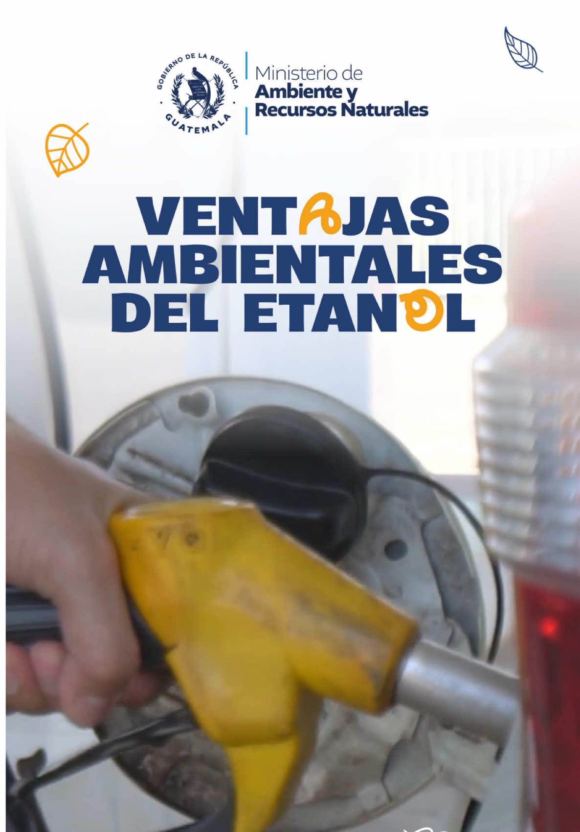 @Ministerio de Ambiente GT
