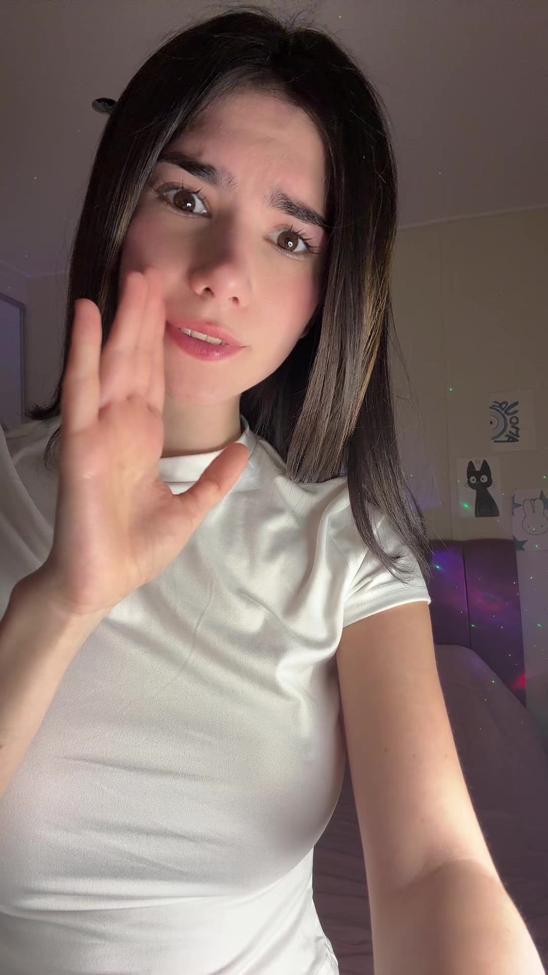 @zowi