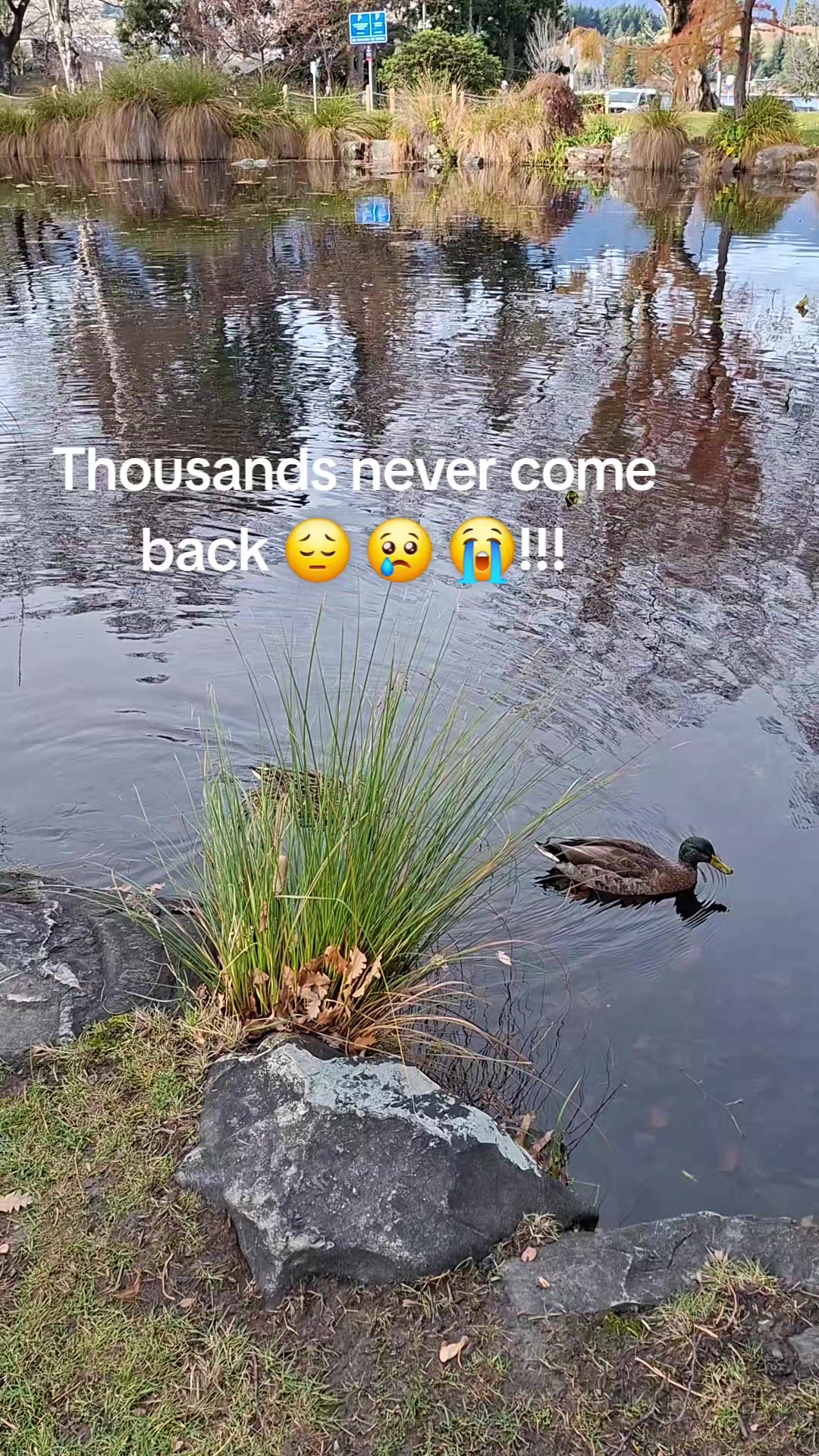 @Senorita Senorita ❤️