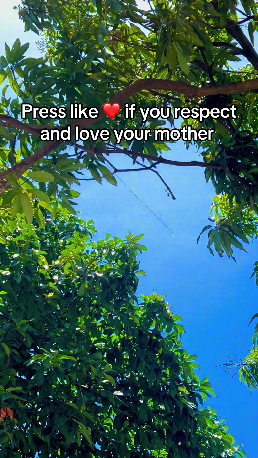 @tiktok.quotes499