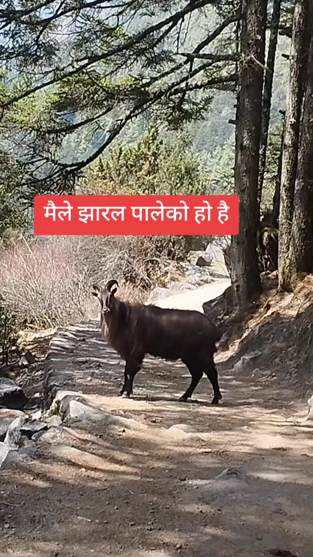 @🙏🇳🇵Murgesh💪🇳🇵