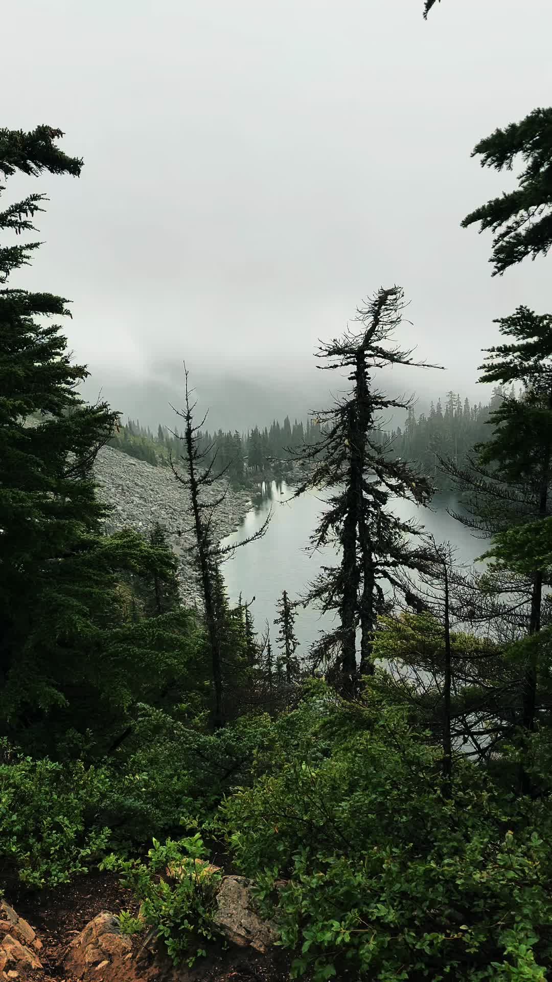 @🌲 James | WA 🏔️