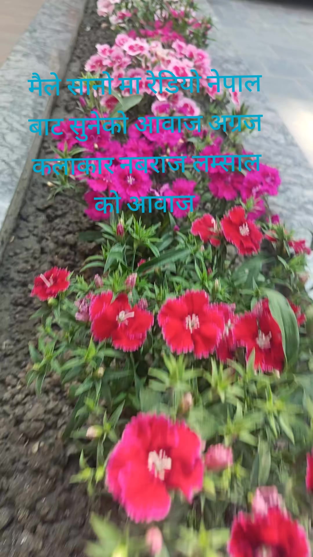 @bhimbibas_aashu_official1