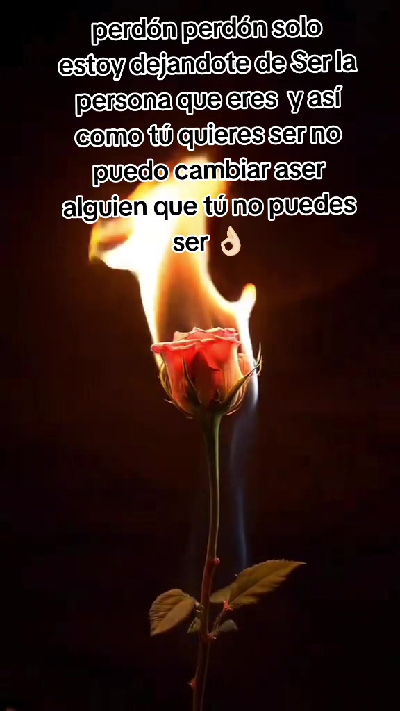 @Luzcesitaperez