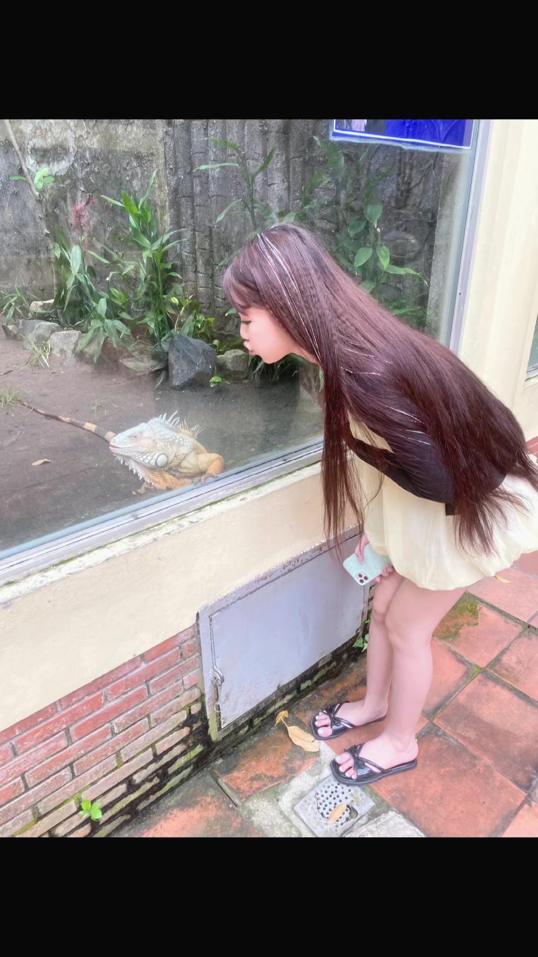 @๐๐ฎ ๐๐ฬ๐จ ๐๐ ๐ฬ๐ง๐ง๐ฅ