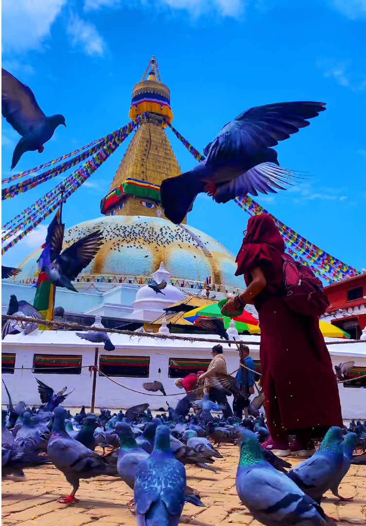 @ganeshexplore
