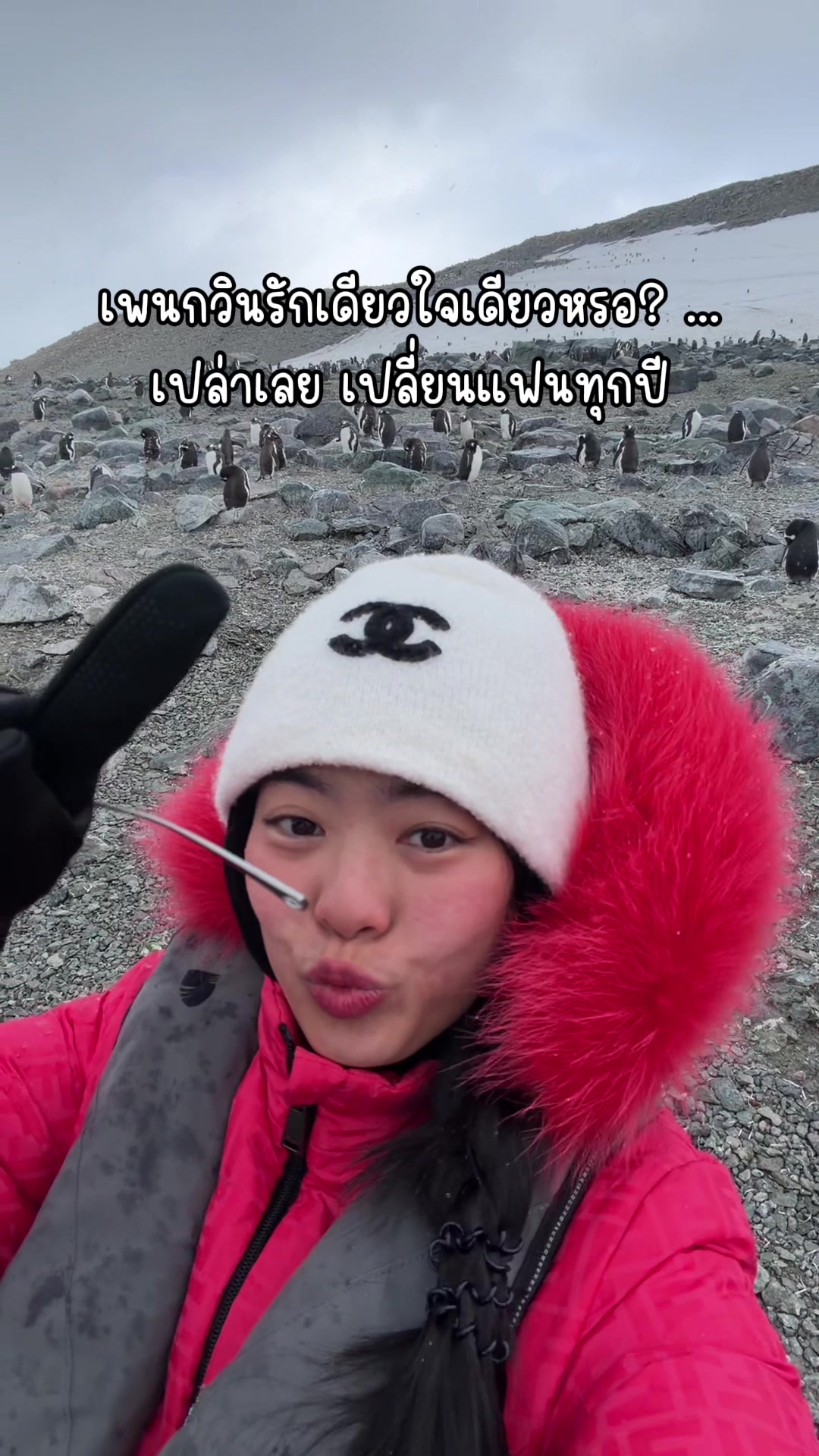 @ชีค กินหรูอยู่สบายกับCheek