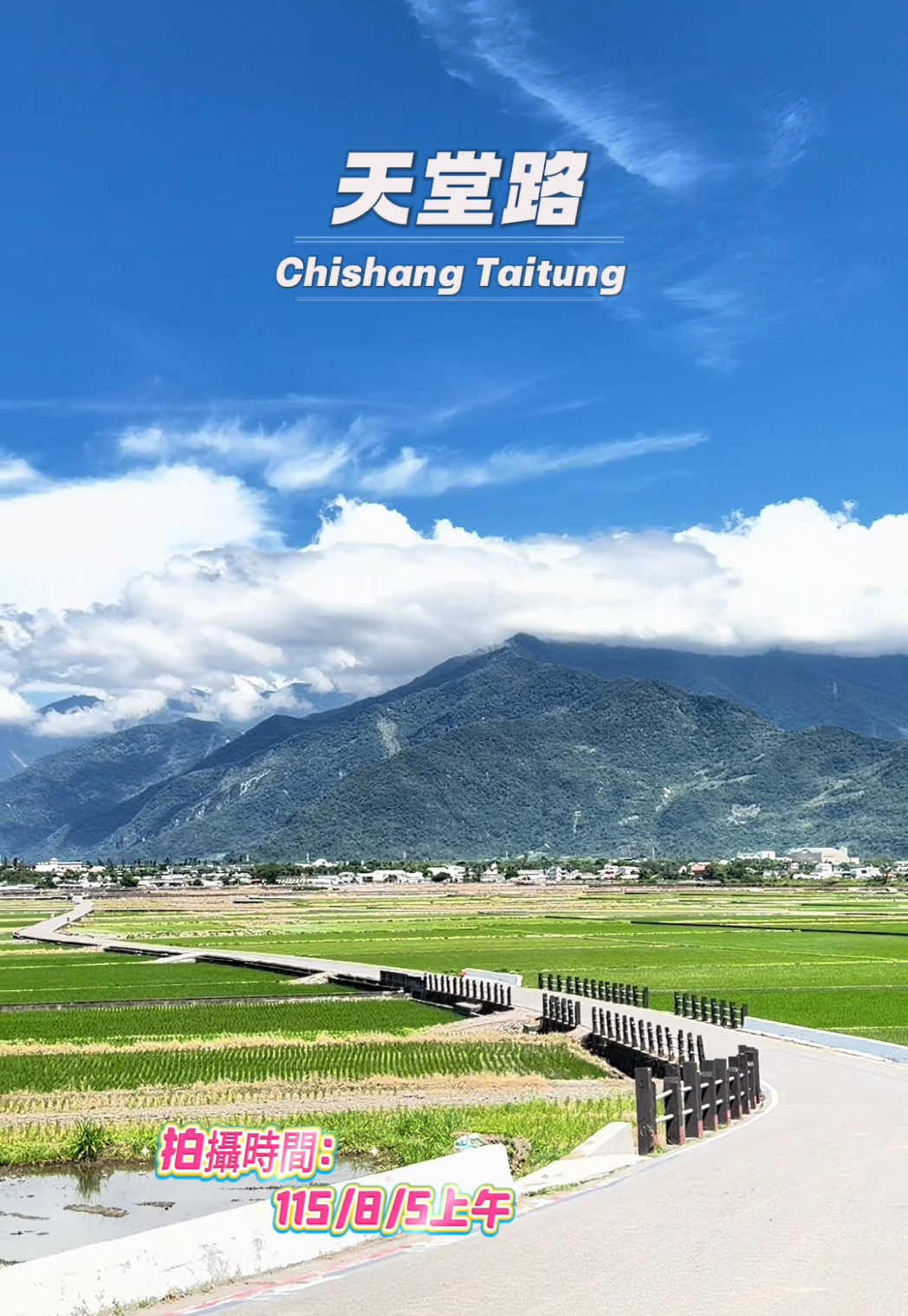 @美娴(華鼎自行車出租店)