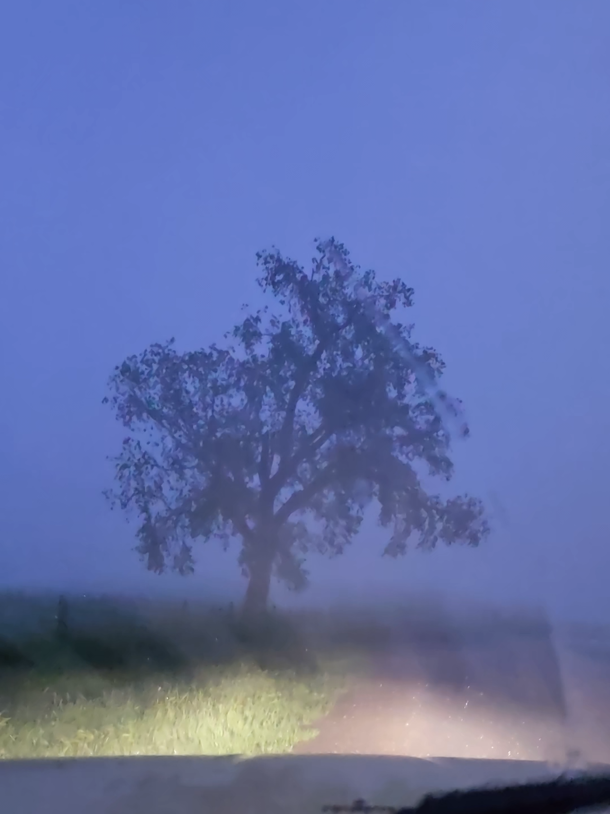 @Aaron Groen