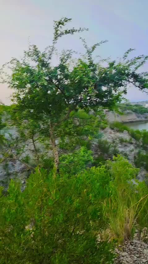 @🇵🇰ANEES KHATTAK🇵🇰