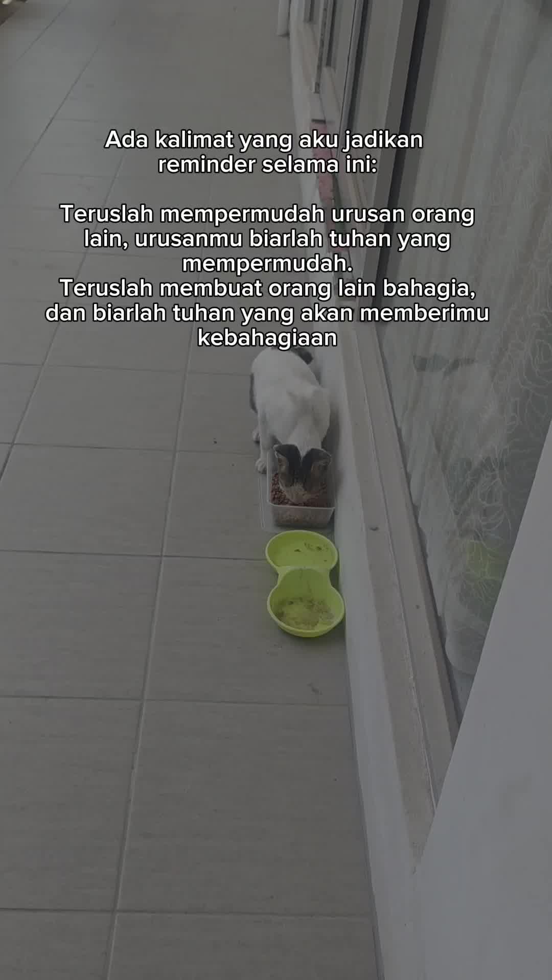 @M 4 N