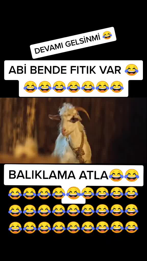@akrep 03 🦞
