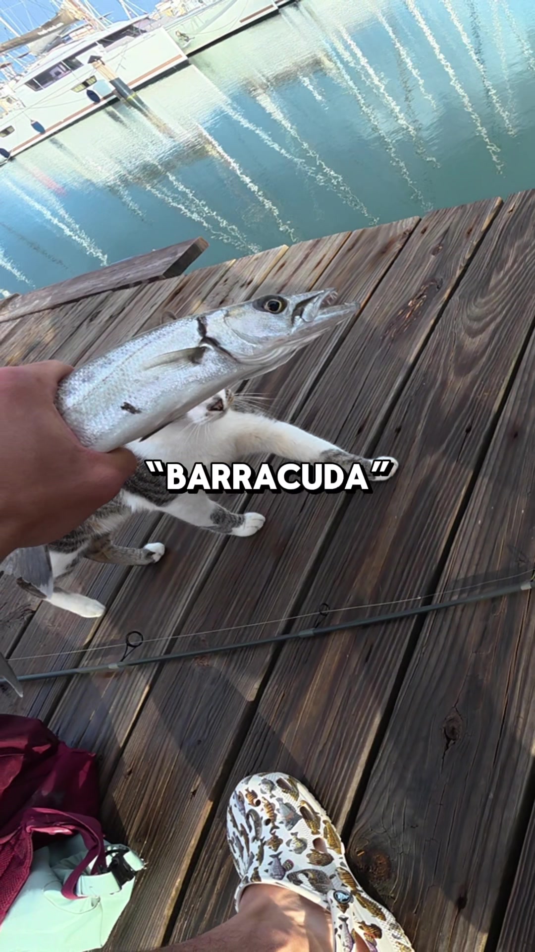 @JlangFishing