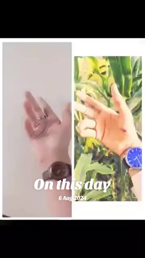 @abeerahbaloch
