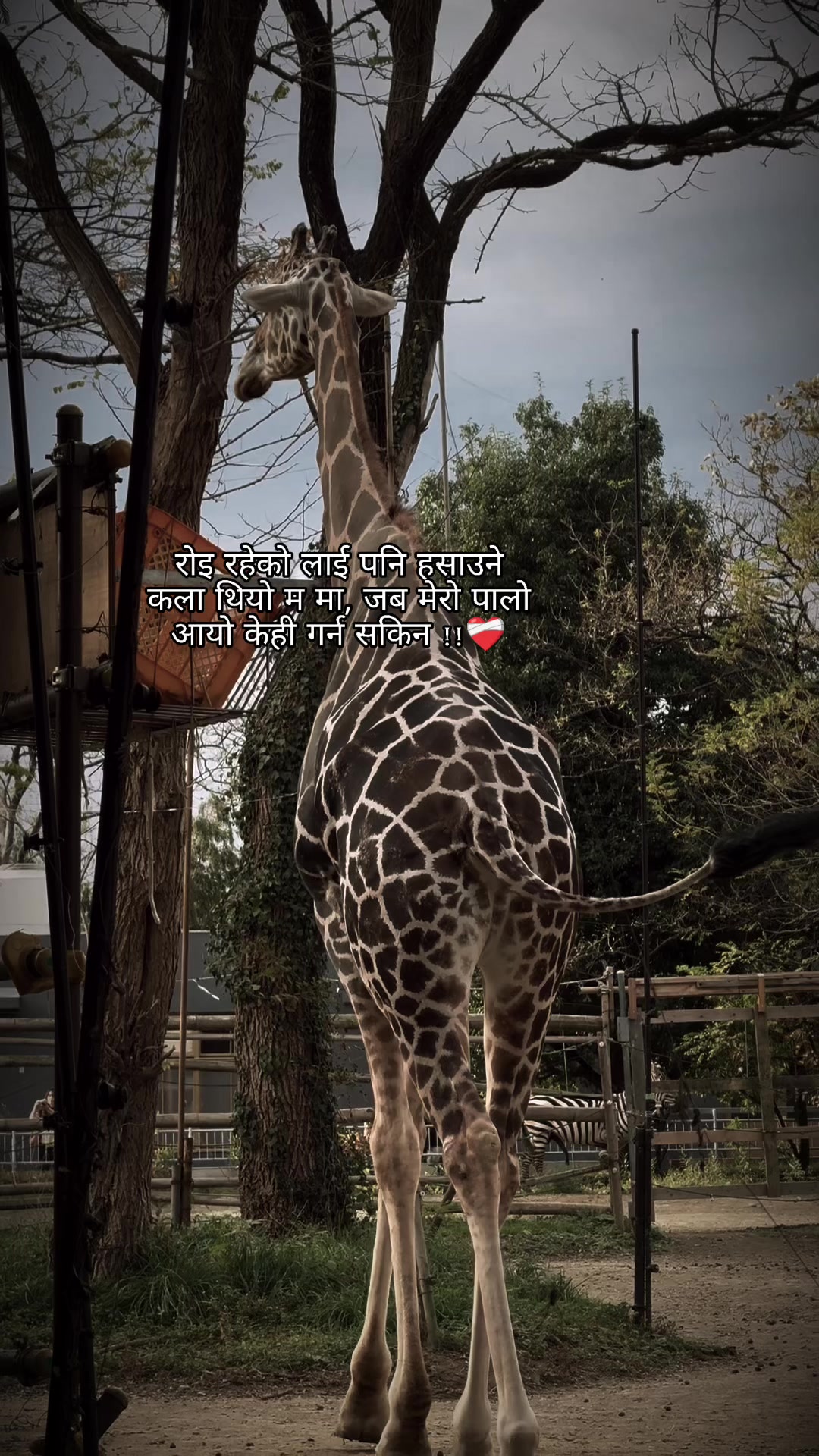 @Anjali@pandey
